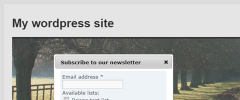 pMailer Subscription Widget screenshot 4