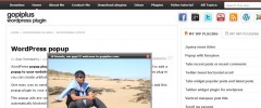 Popup screenshot 1