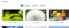 Portfolio and Testimonial manager screenshot 3