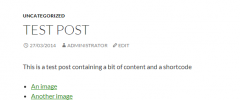 Post Attached Media Downloads screenshot 2