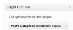 Post's Categories in Sidebar screenshot 2