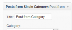 Posts from Single Category Widget screenshot 1