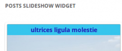 Posts Slideshow Widget screenshot 1