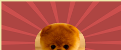 POWr Image Resizer screenshot 1