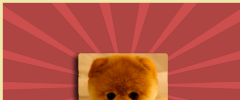 POWr Image Resizer screenshot 3