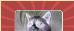 POWr Photo Editor screenshot 2