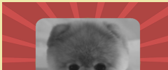 POWr Photo Filter screenshot 2