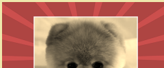 POWr Photo Filter screenshot 3