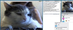 PPV Live Webcams screenshot 2