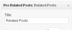Pro Related Post Widget screenshot 1