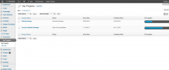 Project Status screenshot 4