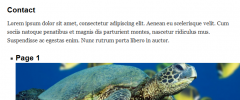 Pronamic Page Teasers screenshot 2