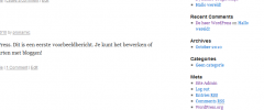 Pronamic Page Widget screenshot 2