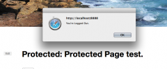 Protected Posts Logout Button screenshot 2
