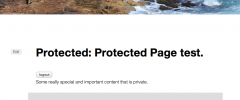 Protected Posts Logout Button screenshot 3