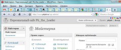 ptis-wp-multi-localization-switching-plugin screenshot 1
