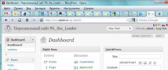 ptis-wp-multi-localization-switching-plugin screenshot 2