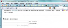 ptis-wp-multi-localization-switching-plugin screenshot 3