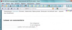 ptis-wp-multi-localization-switching-plugin screenshot 4