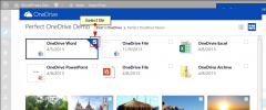 Perfect OneDrive Gallery & File screenshot 5