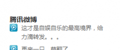 QQ Weibo Plugin for WordPress screenshot 2