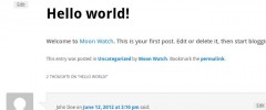 qTranslate Separate Comments screenshot 1