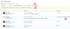 qTranslate Separate Comments screenshot 2
