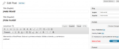 Qtranslate Slug screenshot 1