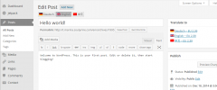 qTranslate X screenshot 1