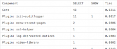 Query Monitor screenshot 2