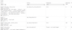Query Monitor screenshot 4