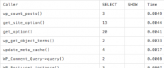 Query Monitor screenshot 7