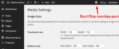Query Recorder screenshot 2