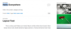 Quick Flickr Widget screenshot 2