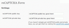 reCAPTCHA Form screenshot 1