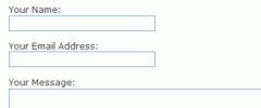 reCAPTCHA Form screenshot 2