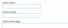reCAPTCHA Form screenshot 3