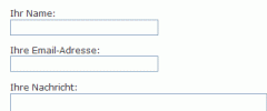 reCAPTCHA Form screenshot 5