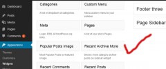 Recent Archive More Widget screenshot 1