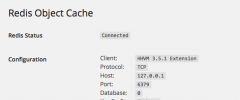 Redis Object Cache screenshot 1