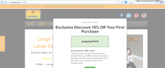 Refer a Friend Program for WooCommerce screenshot 4