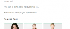 Related Post screenshot 1