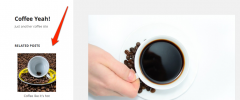 Related Posts by Taxonomy screenshot 2