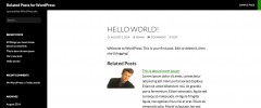 Related Posts for WordPress screenshot 5