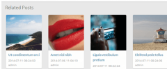 Related Posts Lite screenshot 1
