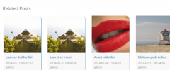 Related Posts Lite screenshot 2