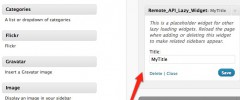Remote API screenshot 1