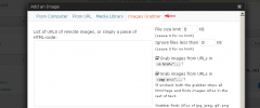 Remote Images Grabber screenshot 1