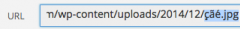 Remove Special Characters screenshot 1