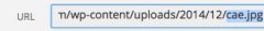 Remove Special Characters screenshot 2